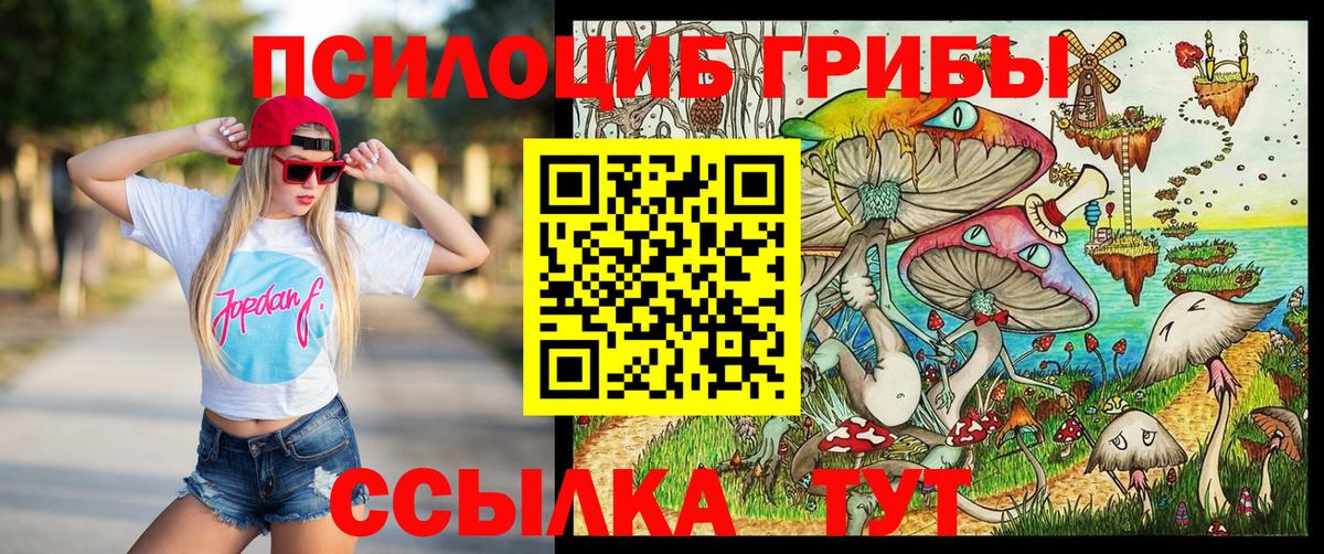 Усть-Илимск  Псилоцибиновые грибы прущие грибы  Галлюциногенные грибы GOLDEN TEACHER  Вход с VPN 